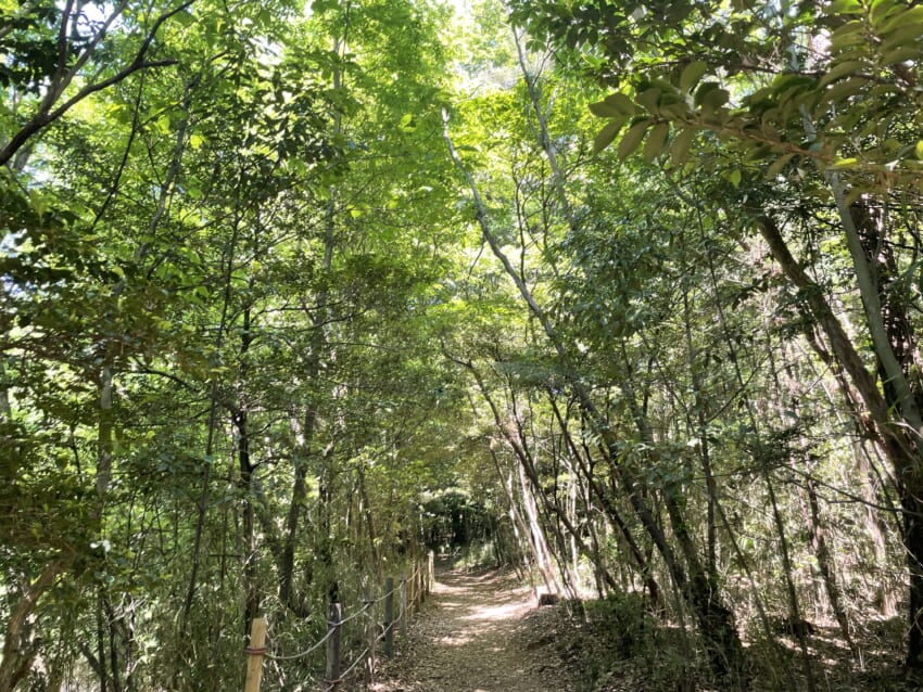 08_mountainroad.jpg