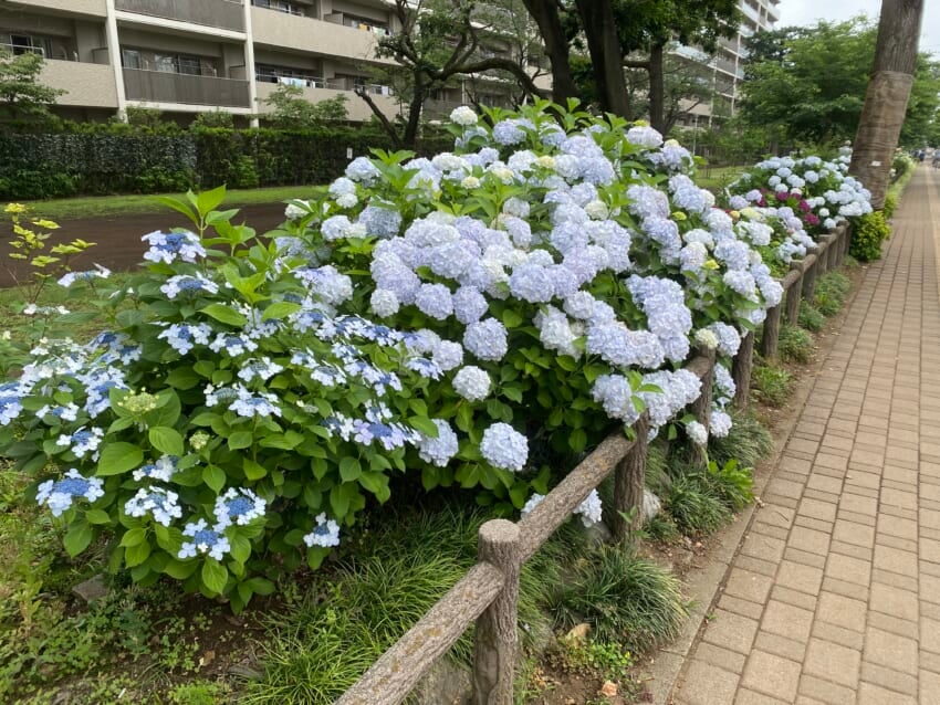 Kei_1441.jpg