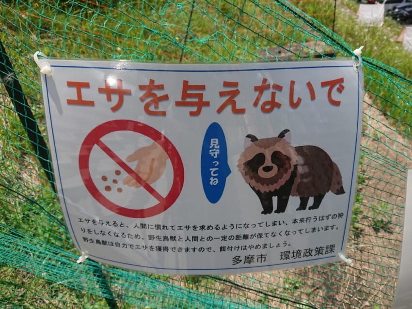 Tanu2_04.jpg