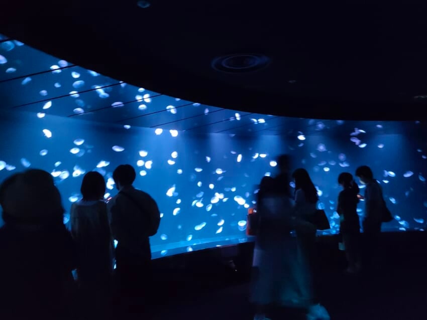 20220719_blog_kasumi-_010.jpeg