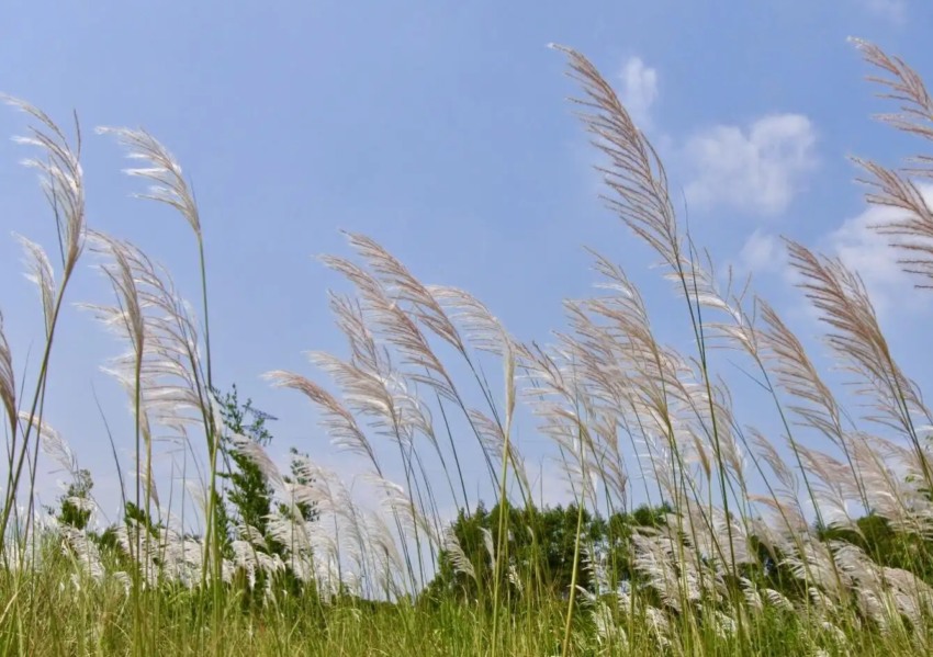 20220906_blog_kasumi_005.png