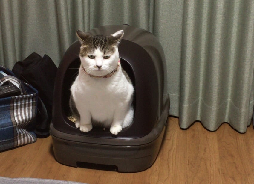 Skype_picture_2022_09_05t11_09_55_406z.jpeg