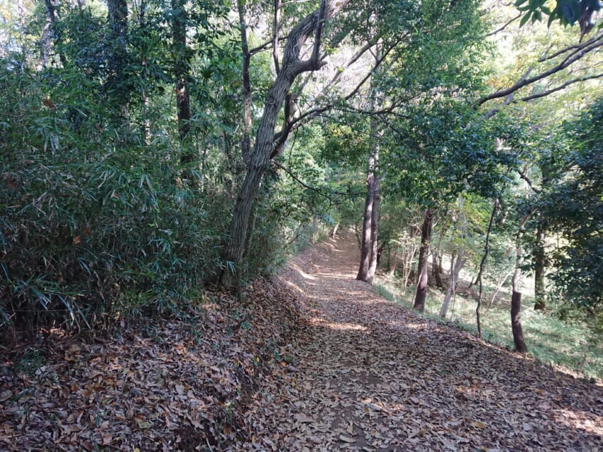 Walk_01.jpg