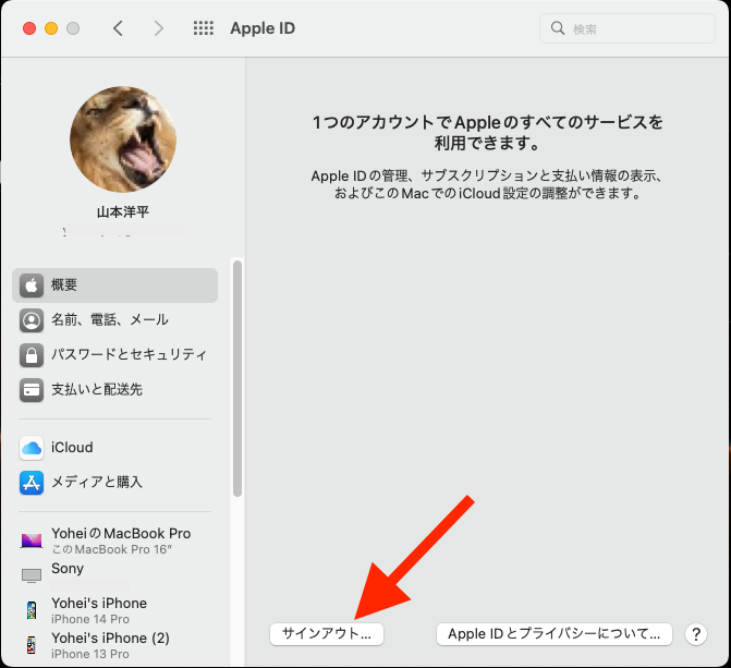 Icloud3.png