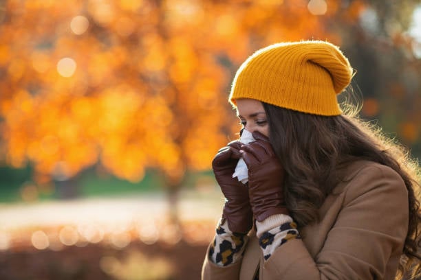 Istockphoto-1286728901-612x612-1.jpeg