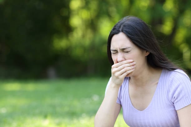 Istockphoto-1385177991-612x612-1.jpeg