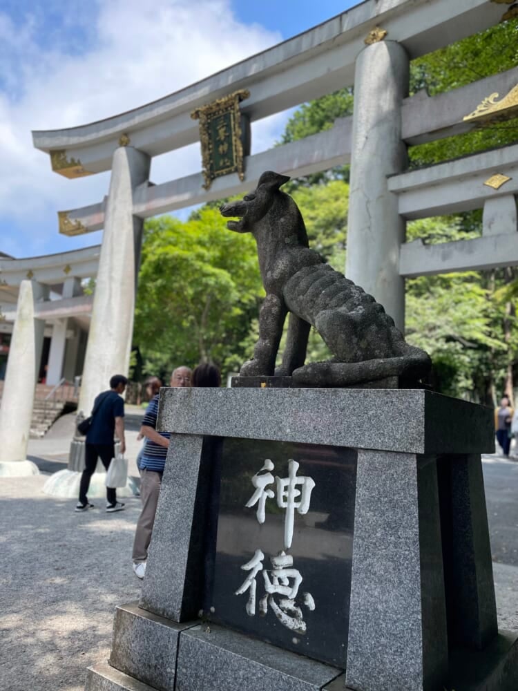 Img_0590.jpeg