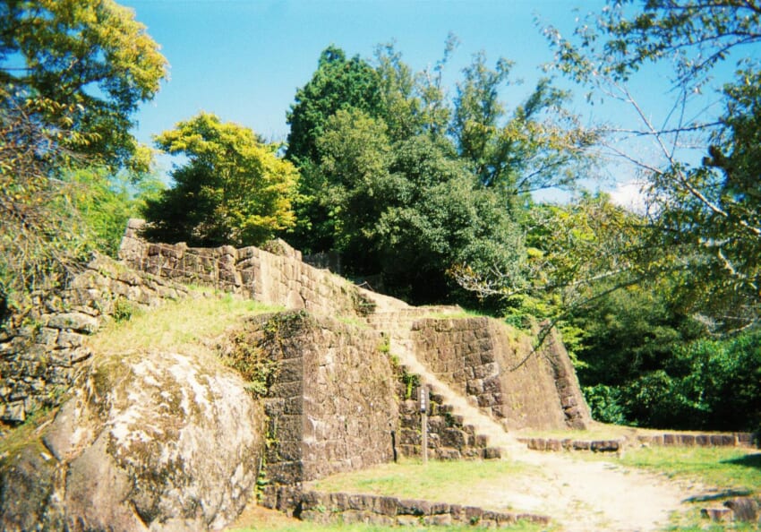 20231113_dora_3.jpg