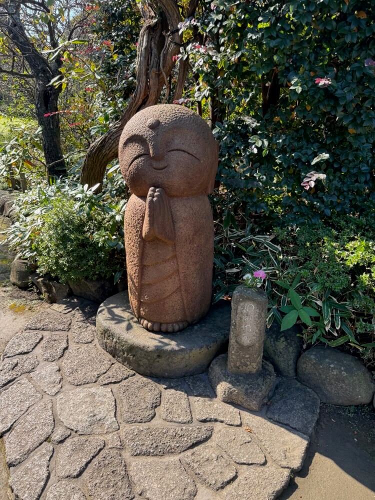 Img_0181.jpeg