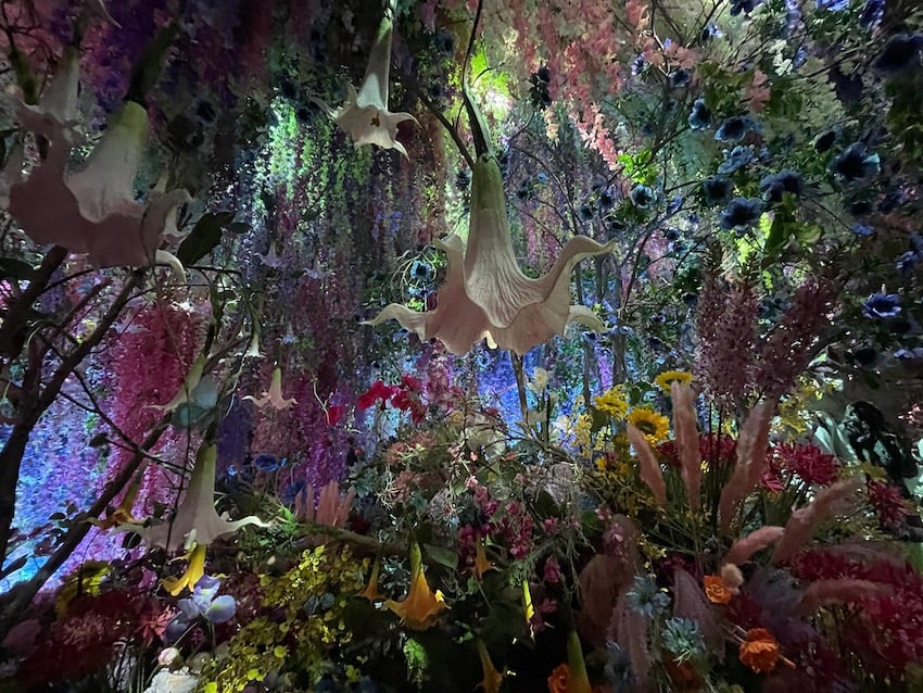 03_flowers_night.jpg