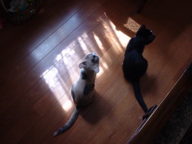 Dsc00012.jpg