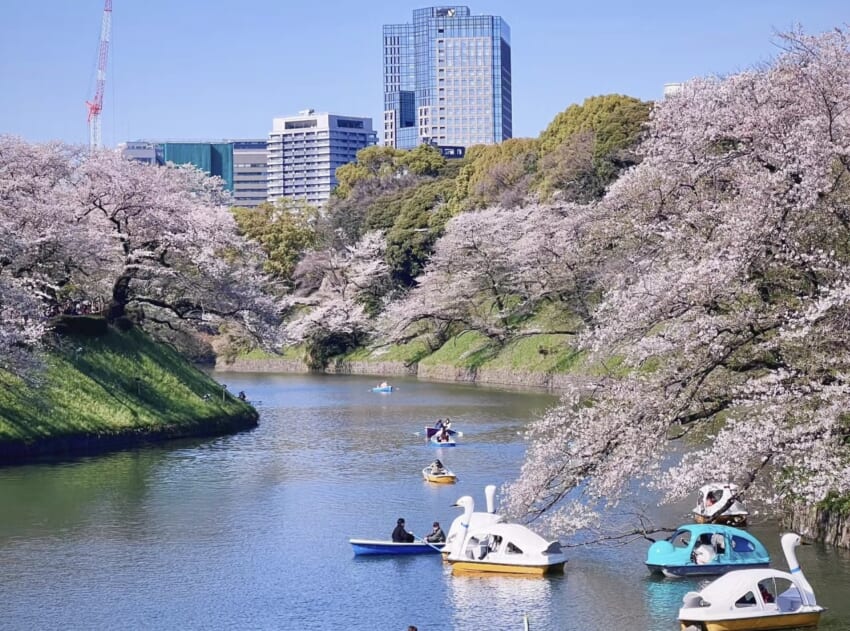 20240411_blog-_kasumi_4.jpg