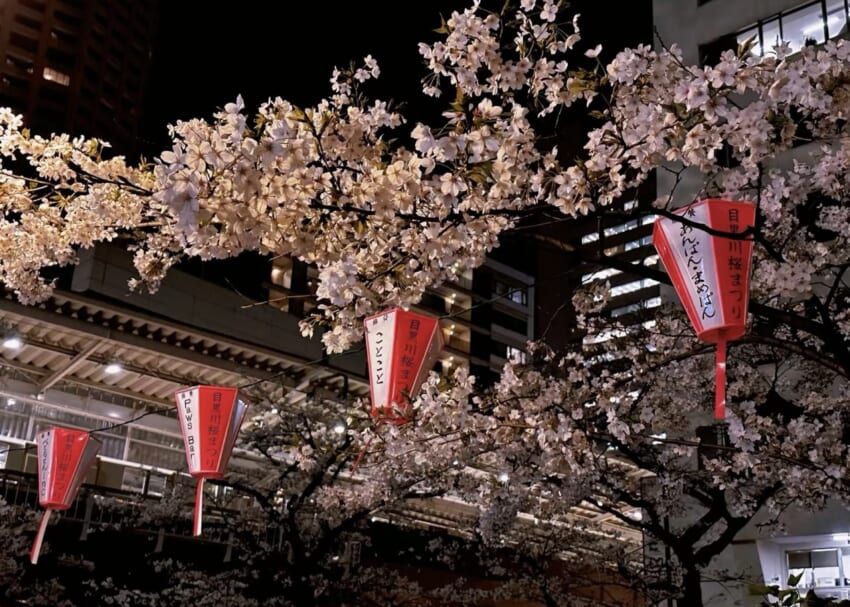 20240411_blog-_kasumi_5.jpg