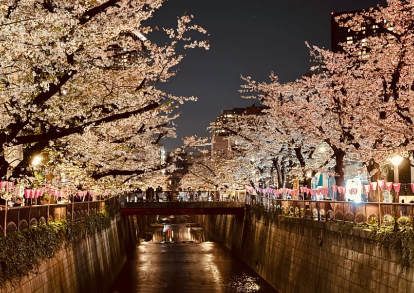 20240411_blog-_kasumi_6.jpg