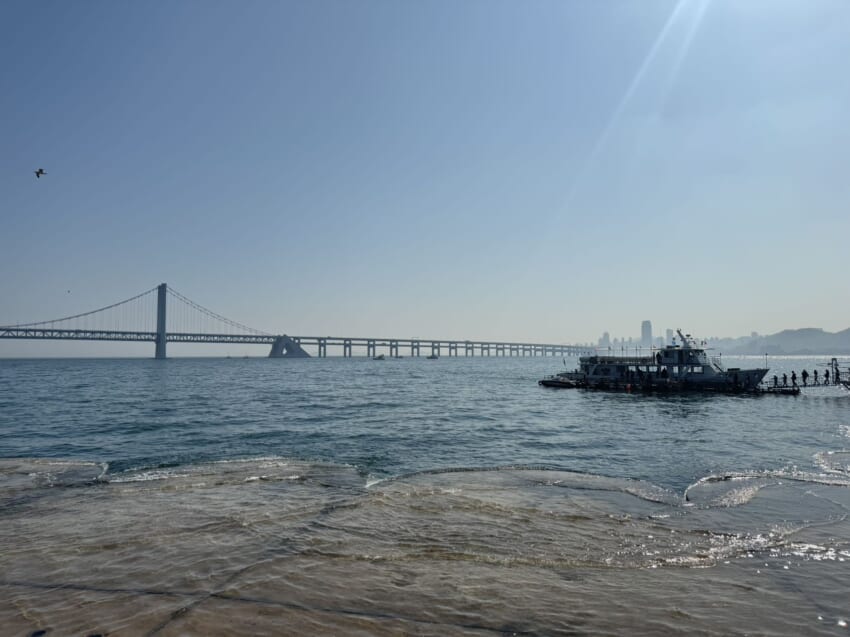 20240510_blog_kasumi_2.jpg