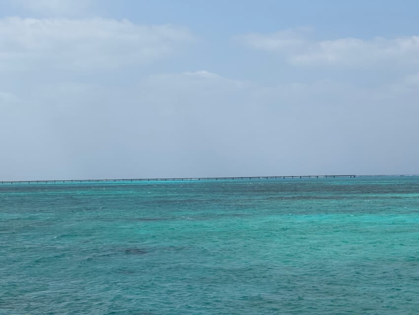 Img_0564-1.jpeg
