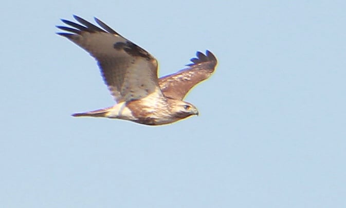 Img_1578.jpg