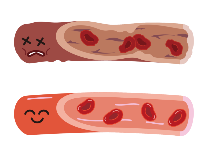Shinnshikann.png