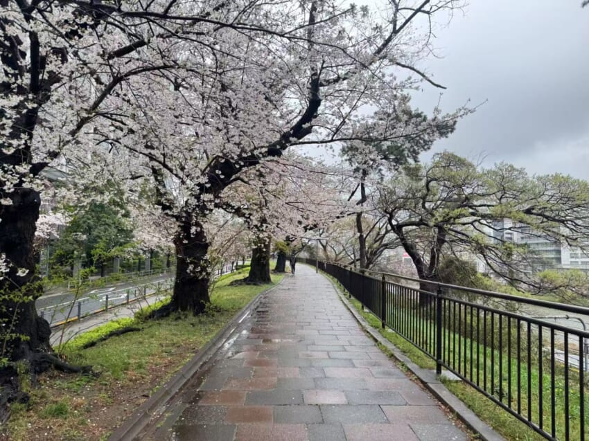 20250401_blog_kasumi_10.jpg
