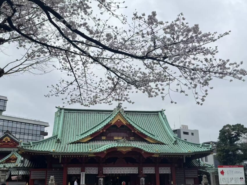 20250401_blog_kasumi_17.jpg
