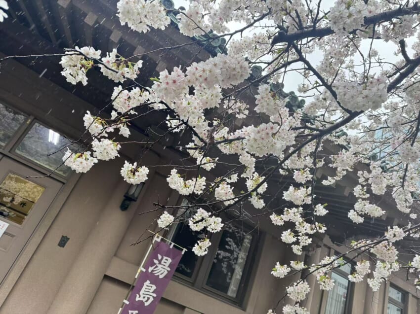 20250401_blog_kasumi_8.jpg